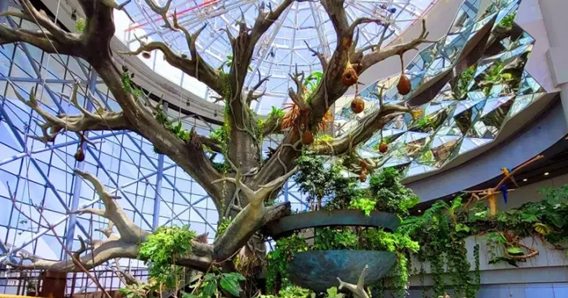 green planet dubai - a tree with plants in a glass roof