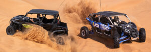 Desert Activities in Dubai