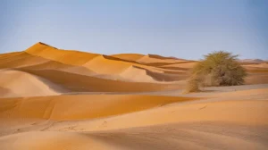 the-empty-quarter