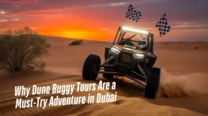 Dune-Buggy-Tours