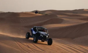 buggy-ride 