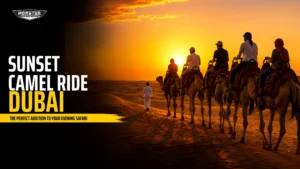 sunset-camel-ride